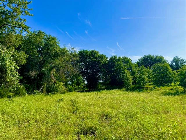 LOT 53 WICKLOW CT, POOLVILLE, TX 76487, photo 1 of 18