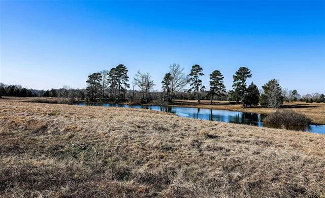 TBD COUNTY ROAD 317, HENDERSON, TX 75652, photo 1 of 31